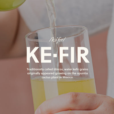 What is Water Kefir?