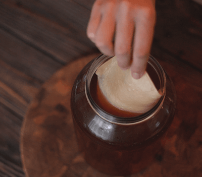What is a SCOBY?