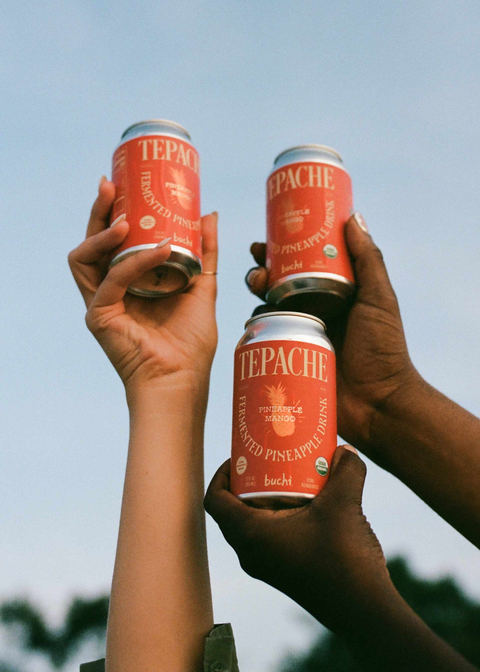 A Brief History of Tepache