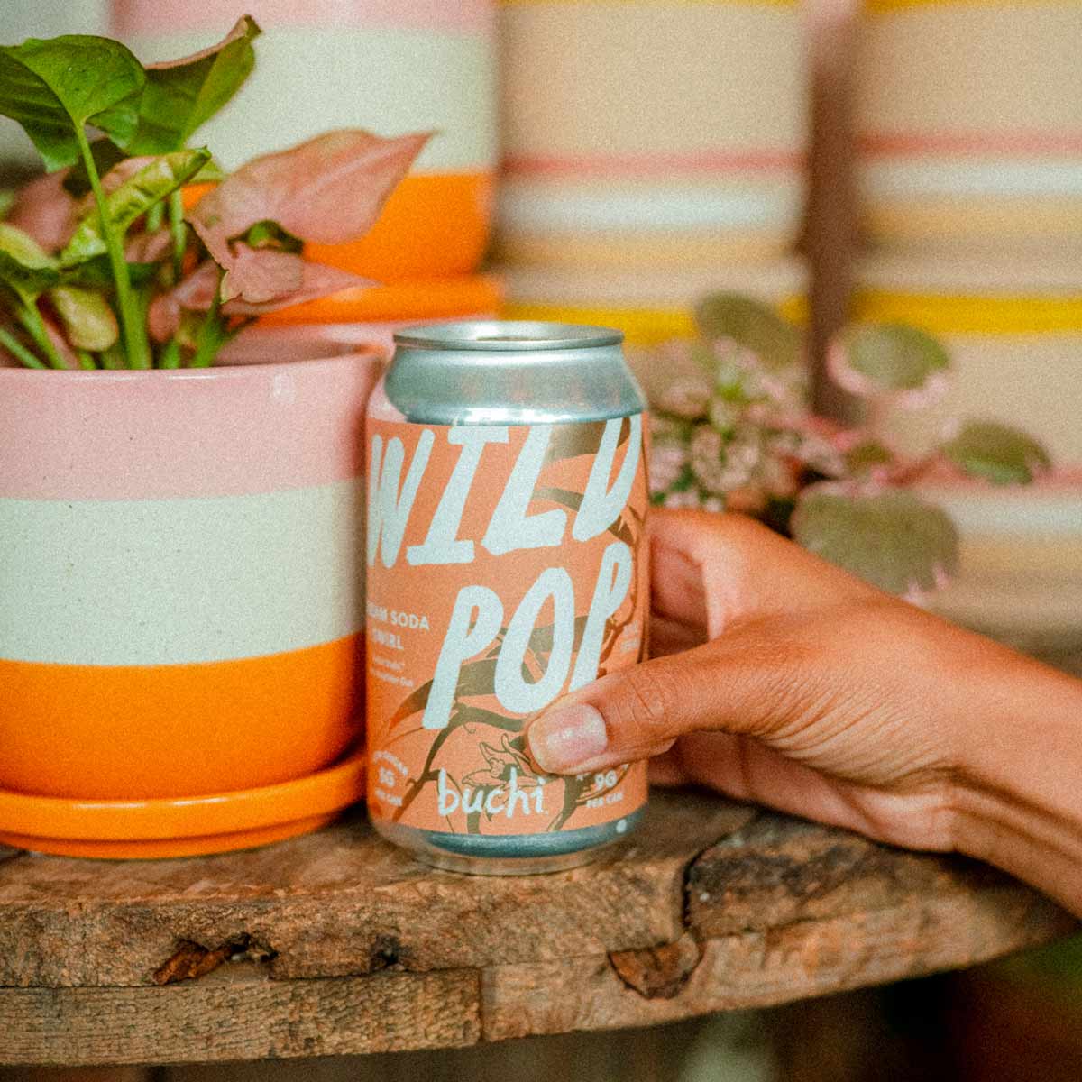 Cream Soda Swirl Wild Pop | Low Calorie Soda | Buchi